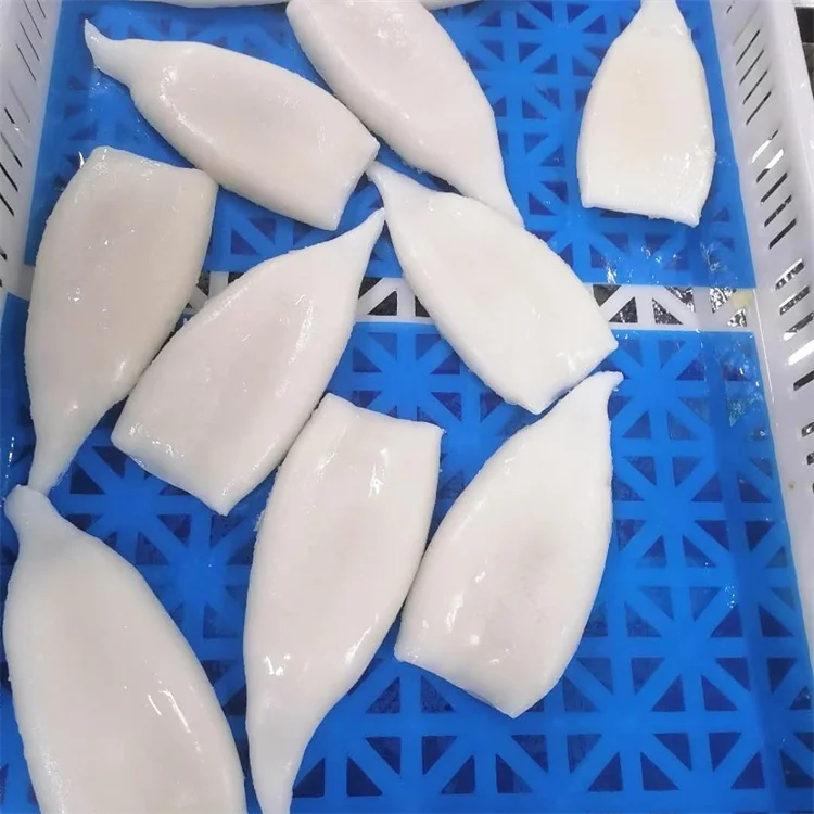 Frozen squid tube frozen calamary Todarodes Pacificus