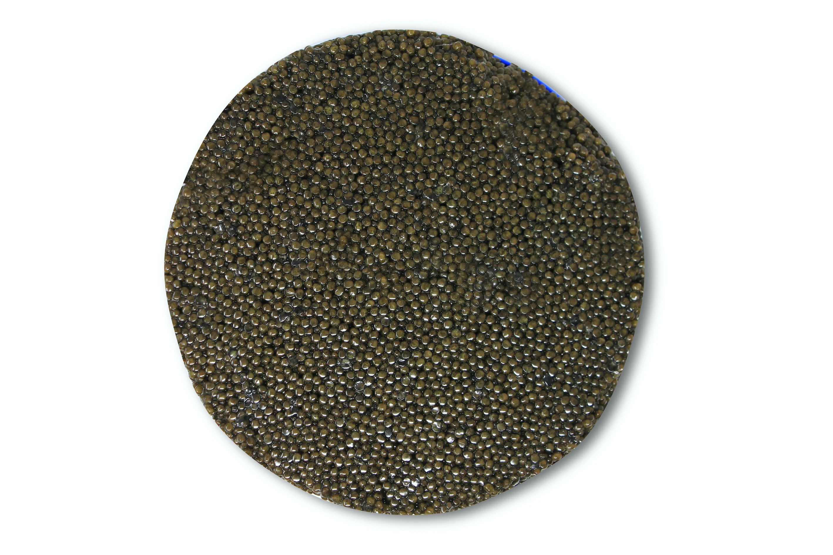 Hot sell High quality Sustainable White Sturgeon Caviar 1800gr Tin Malossol
