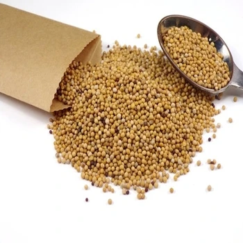 Hot Sale Animal Feed Fish Meal