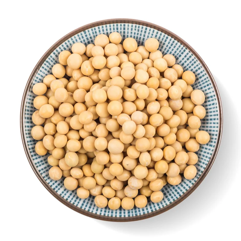 2022 crop High protein yellow soybean soya beans / soy bean for sale
