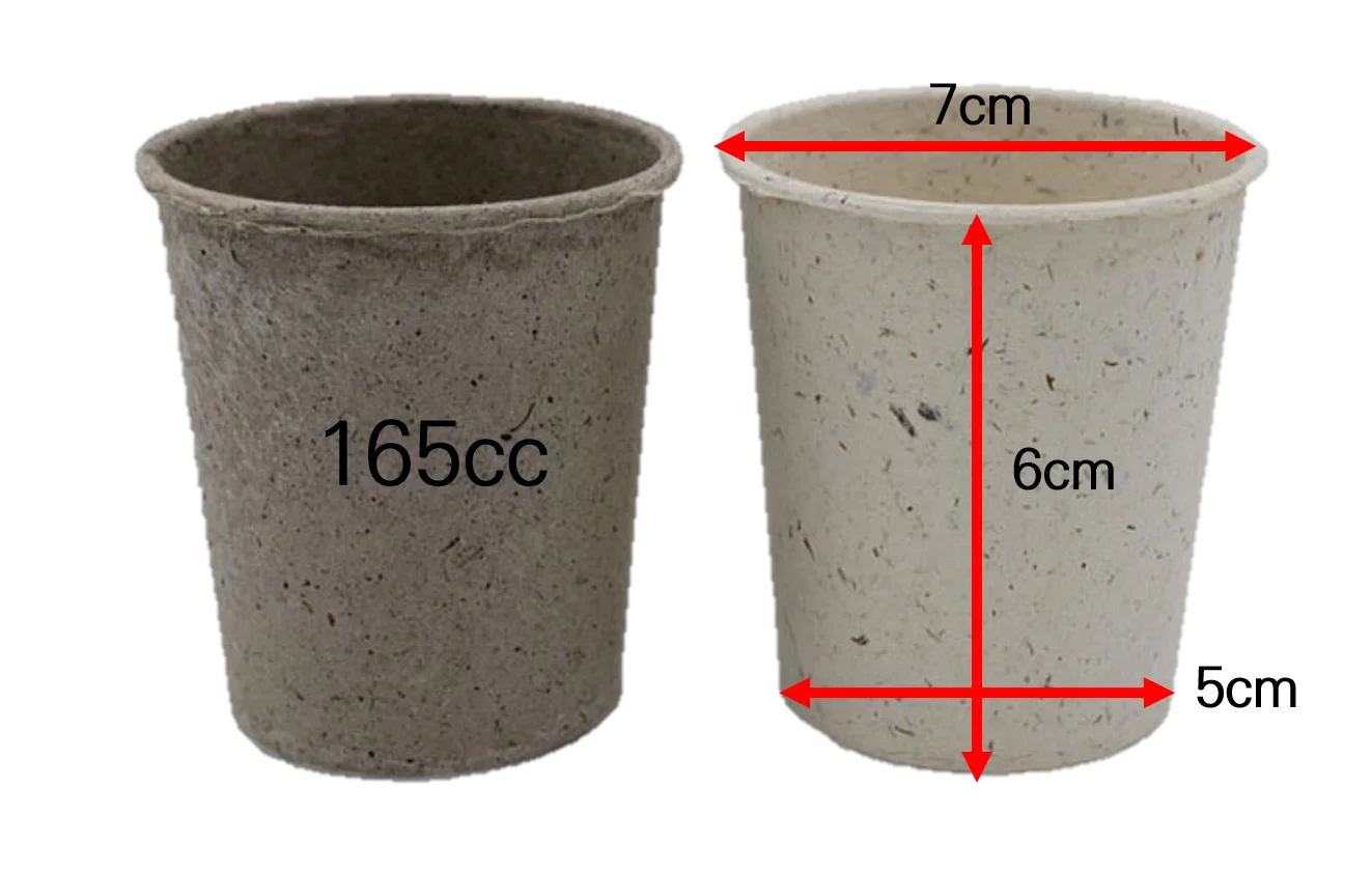 paper cup	eco-friendly non-plastic biodegradable seaweed extract	cup upcycling natural algae pulp and mold non chemical cups