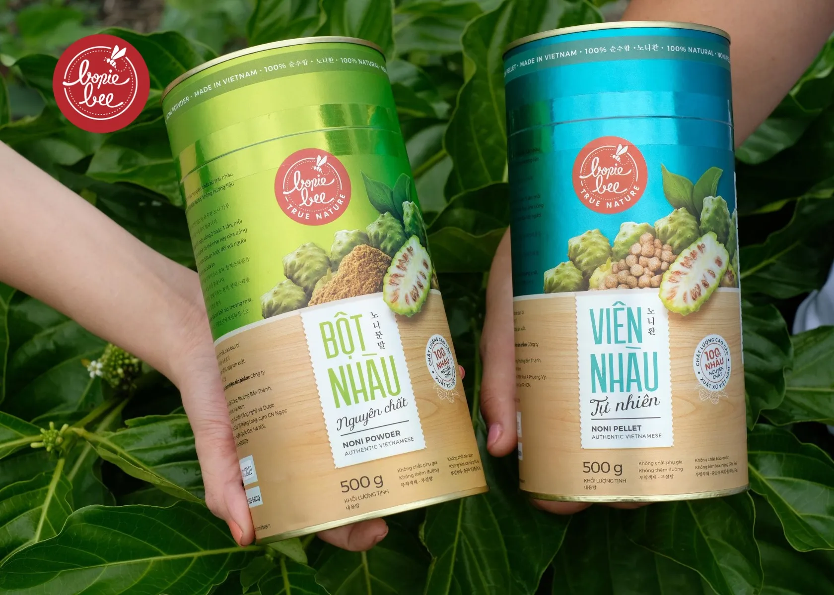 
Fresh Noni Fruit Extract Powder - Vietnam Premium Noni Extract OEM Services 