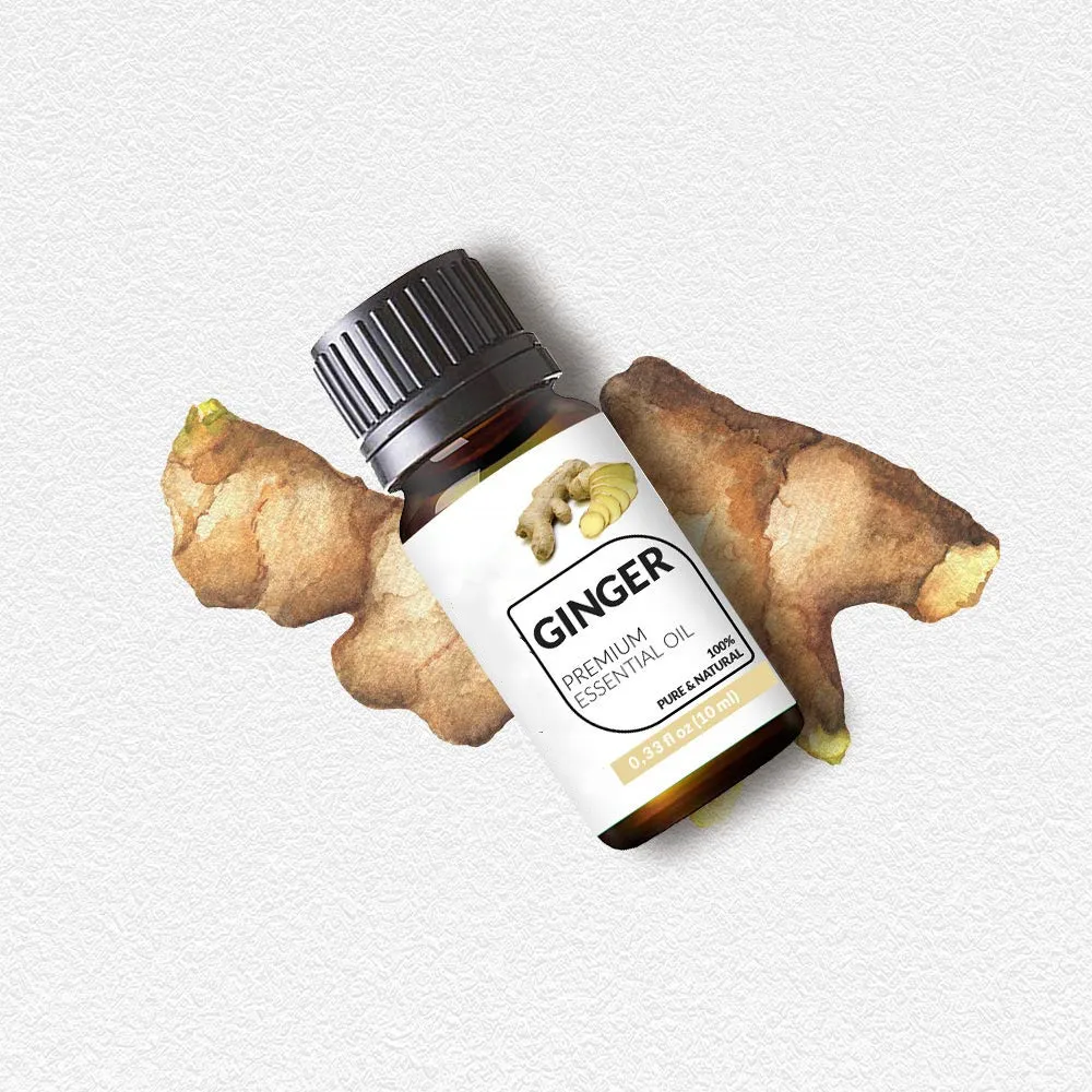 
High Quality Product from Germany Ginger Essential Oil 