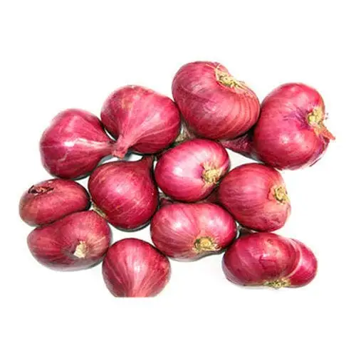 Organic and fresh red onion hair oil for wholesale from India