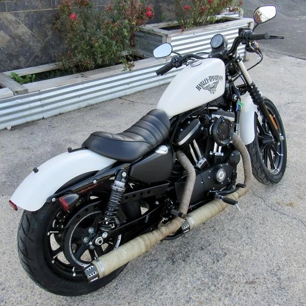 
2018 Har ley Davidson XL883N Sportster 