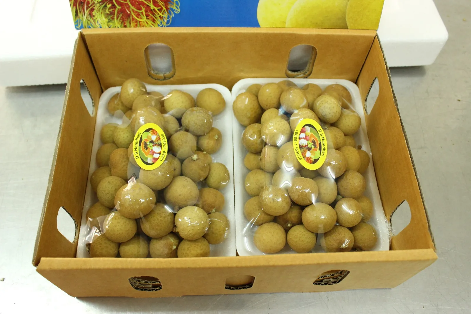 LONGAN Premium Grade 12 Cm 1 Kg Fresh COMMON Cultivation Ripe Maturity from TH;46