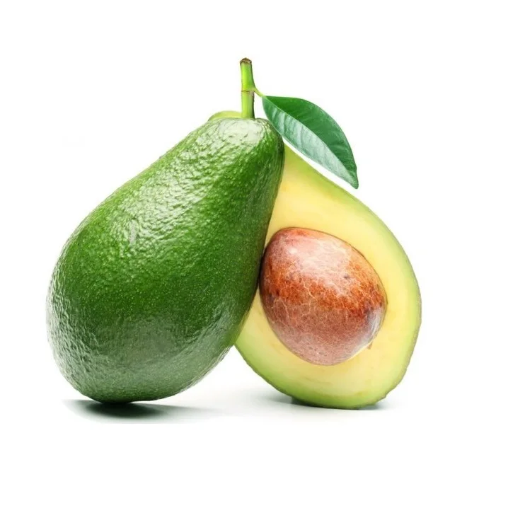 Высококачественный натуральный 100% органический продавец зерна авокадо из Индии