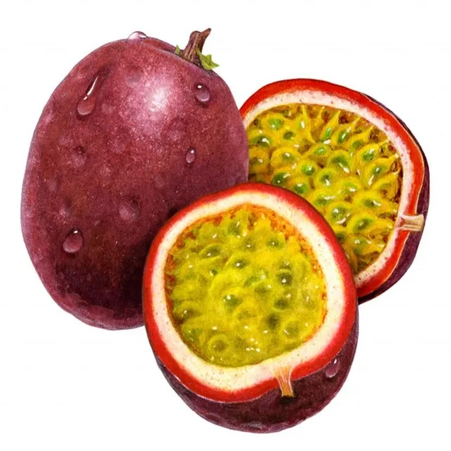 FRESH PASSION FRUIT high quality from Vietnam | BIG SALE 15% OFF | HOT DEAL 2023 | WHOLESALE VIETNAM