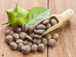 PERU DRIED SACHA INCHI SEED / SACHA INCHI NUTS