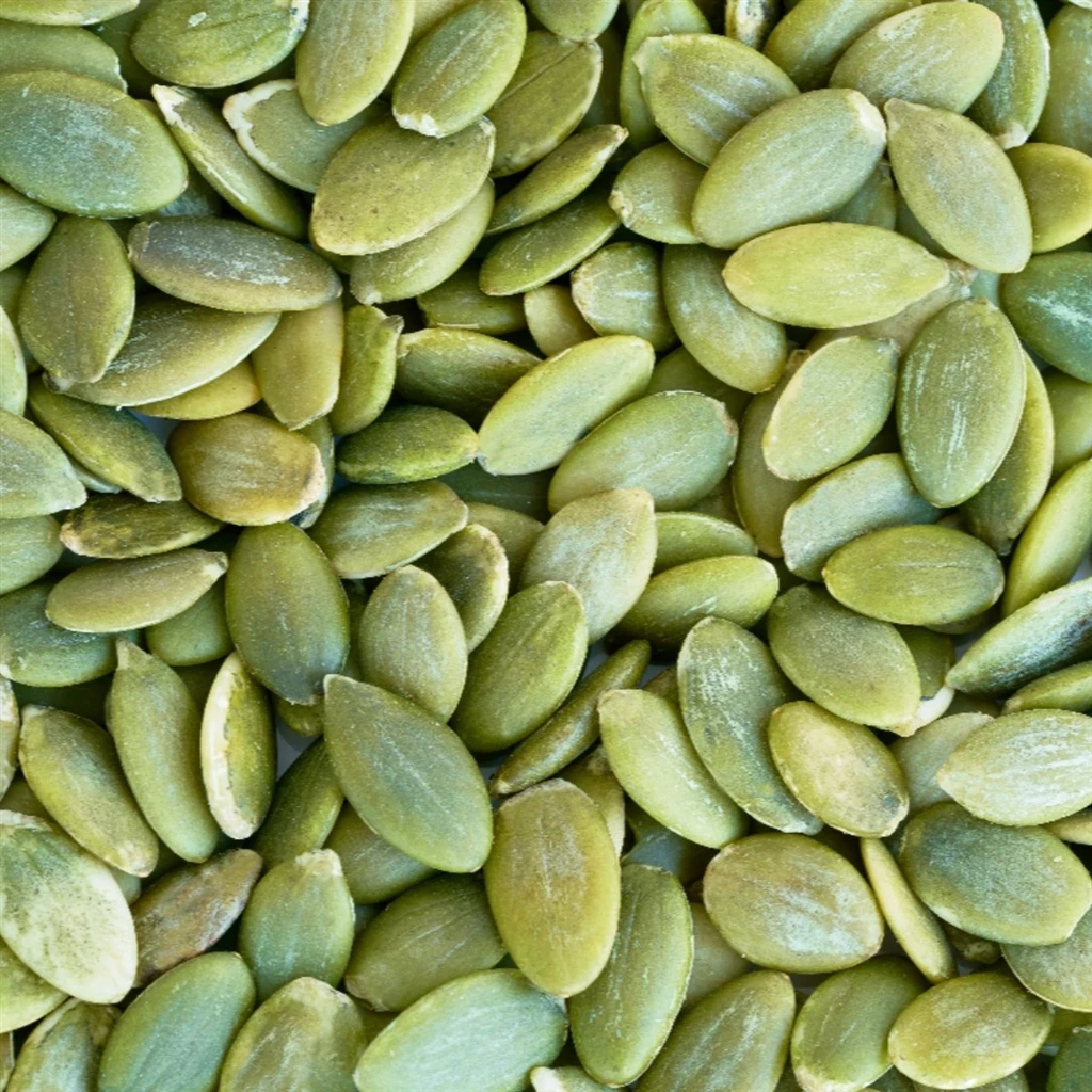 Big Size Pumpkin Seed From Inner Mongolia