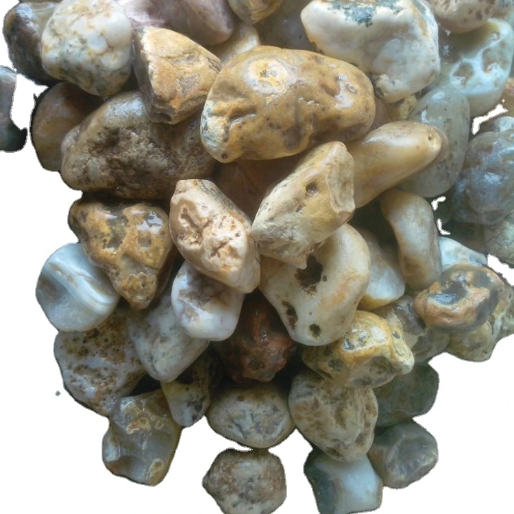 Indian River Holey Rocks & Dragon Rock Stone for Aquarium Tank Decoration Sale Substrat Eco-friendly