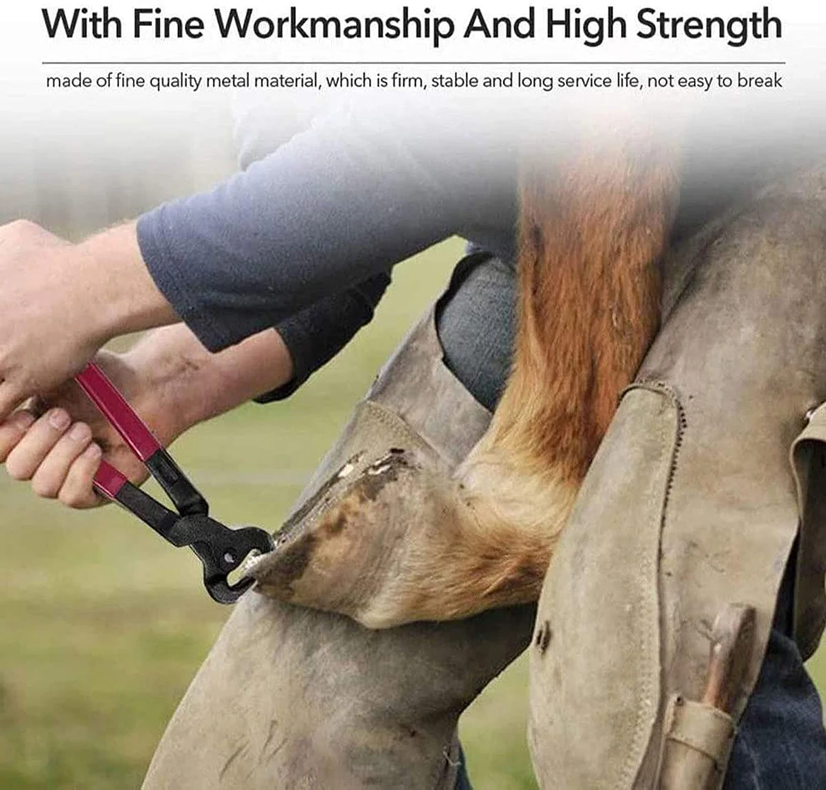 Horses Hoof Trimmers Tools,Rasp Hoof Cutter Set,Suitable for Hoof Trimming for Instruments
