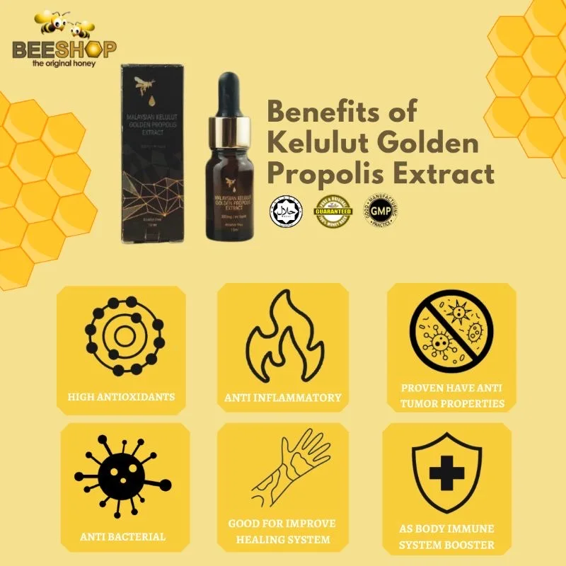 Hot Selling High Quality Natural 100% Pure Eco Bee Malaysia Kelulut Golden Propolis Extract 10ml Halal for Health Supplement