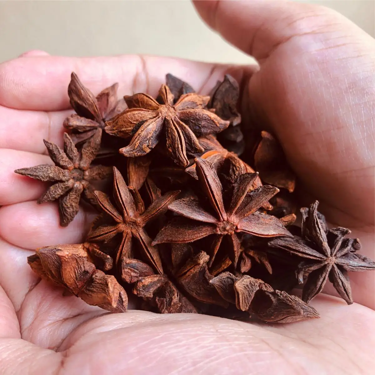 Чистый порошок корицы-сушеный Cassia Cinnamomum низкая цена/Ms. Lima + 84