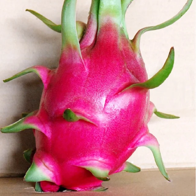 VIETNAM FRESH DRAGON FRUIT- BEST PRICE whatsapp +84902948089