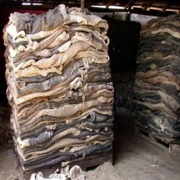 
 Donkey Hides, Wet Blue Cow hides and wet salted cow hides available  