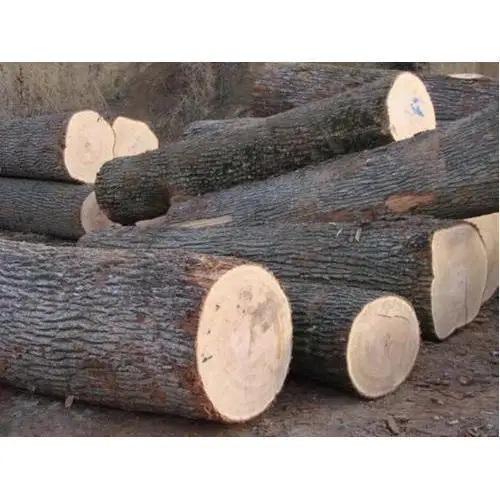 
Wholesale Red Oak Logs For Sale 
