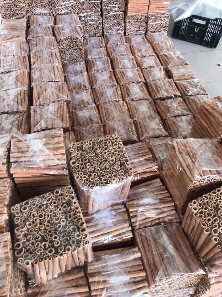 Wholesale cinnamon powder whole cinnamon roll spicies cassia pressed Dried from vietnam