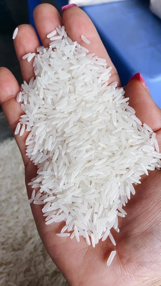  РИС ST 25 высококачественный рис