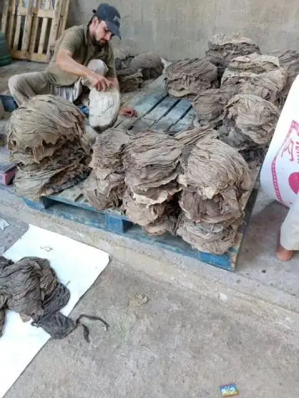 Specialized in Processing of Buffalo Omasum