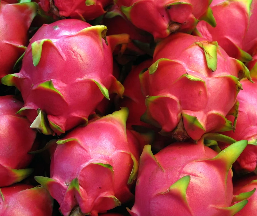 FRESH RED/WHITE DRAGON FRUIT/PITAYA FROM VIETNAM 0084902948089