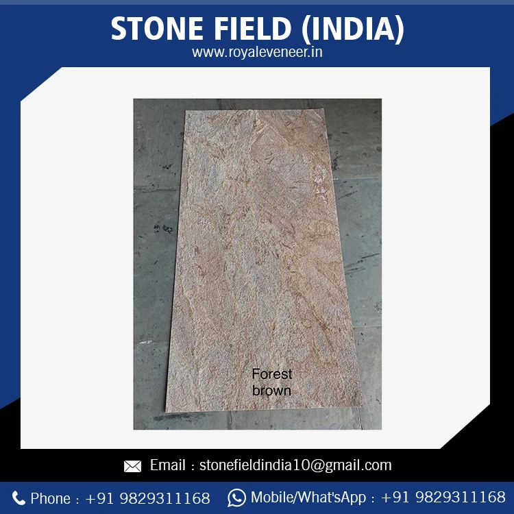 Latest Design Rainforest Sandstone For Flooring Decoration Buy From The Manufacturer - Stone Field India