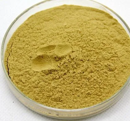 
High quality pure natural powder Monk Fruit Extract 80%,Momordica grosvenori /CAS:88901-36-4 