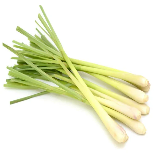 LEMONGRASS From Vietnam with Frozen Vegetables Good Price- LINDA Whatsapp 0084 989 322