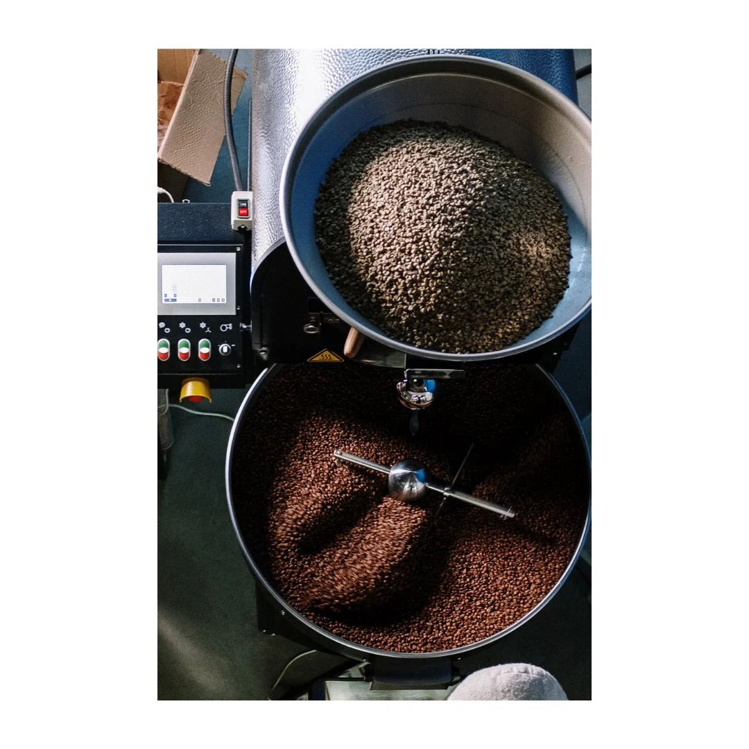 Готовая к отправке Высококачественная жареная кофейная зерна Robusta LMC по низкой цене продажа с завода в Тайване