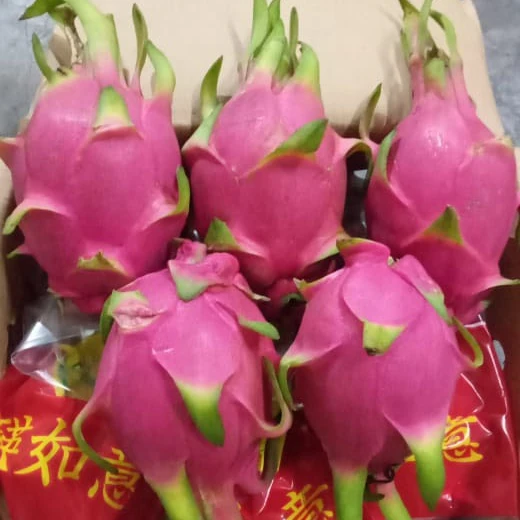 Фрукт дракона из Вьетнама, Лидер продаж // ALLY 0084912438547