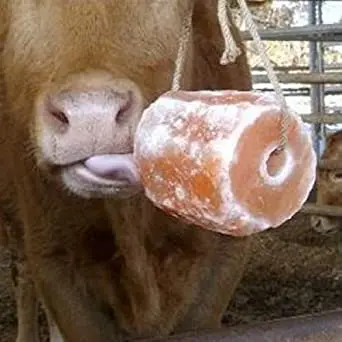 
Cattle Animal lick Salt stone rock with hanging rope 100% Natural Pure Himalayan Salt cattle salt licks 