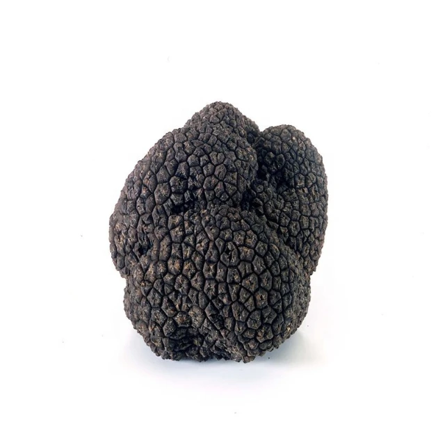
Wholesale Fresh Frozen Wild Black Truffles from Yunnan China Tuber Melanosporum fresh truffles Younium Fresh Matsutake Mushroom 