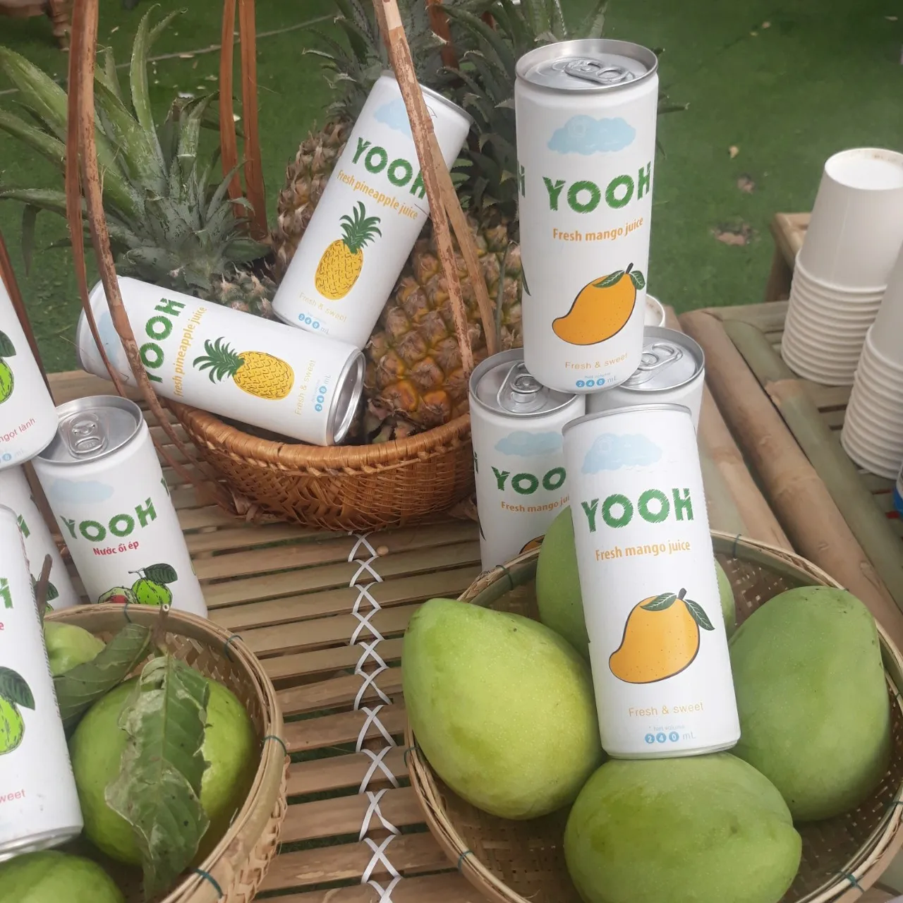 MANGO JUICE 240ml Canned Cheap Price for wholesaler  YOOH Vietnam both OEM and ODM 100% Purity