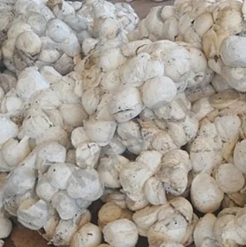 Rubber cup lumps for sale/high ammonia natural latex/fluorspar lumps