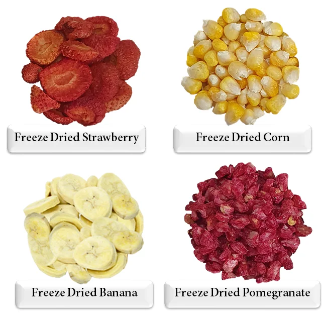 FD Coconut Freeze Dried Coconut Slices Dried coconut chips