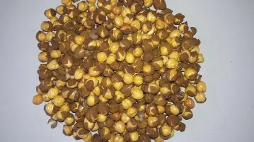 
Roasted Chickpeas With Skin | Whatsapp +91 9600485900 