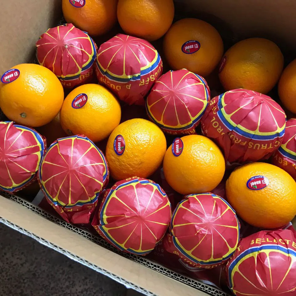 PREMIUM FRESH ORANGES - Big Orange fruits Best Price offer