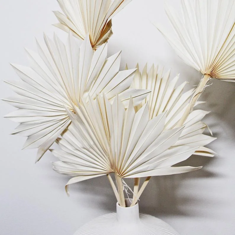 Сушеные сохраненные белые Пальмовые Листья 50-60 см для предложения украшение дома и свадьбы
