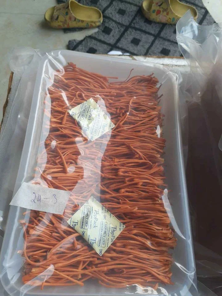 Сухой Кордицепс милитари сушеный для хорошего здоровья/MS.Donna