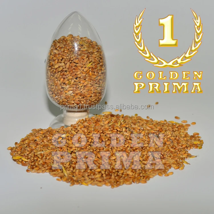 Top sale wheat grain for animal feeding from Russia, wheat grain whole organic