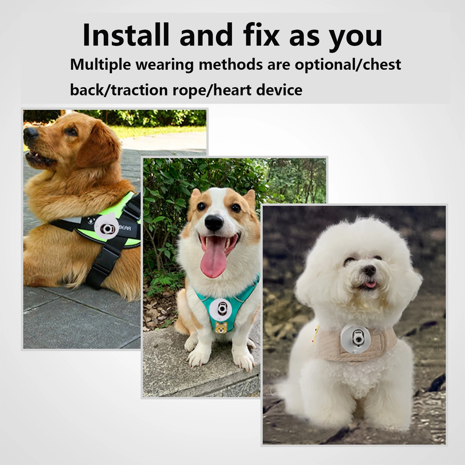 Pet social light projection LED customized photo name pet lights dog go out projection light Easy to carry