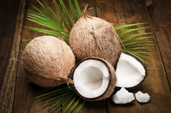 Wholesale Vietnamese  good quality 100% Matured Dried SEMI HUSKED COCONUT