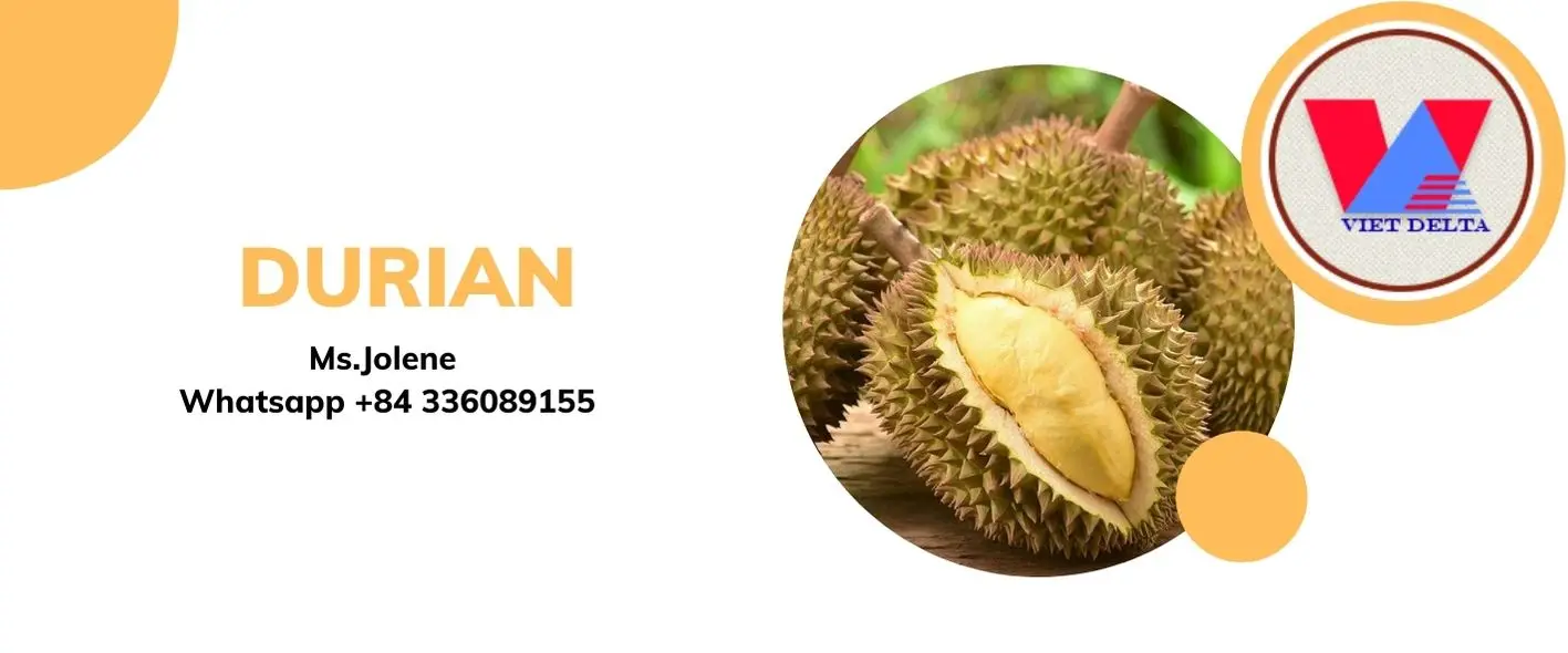 Свежий дуриан для оптового экспорта сладкий вкус 100% органический // Jolene + 84 336089155