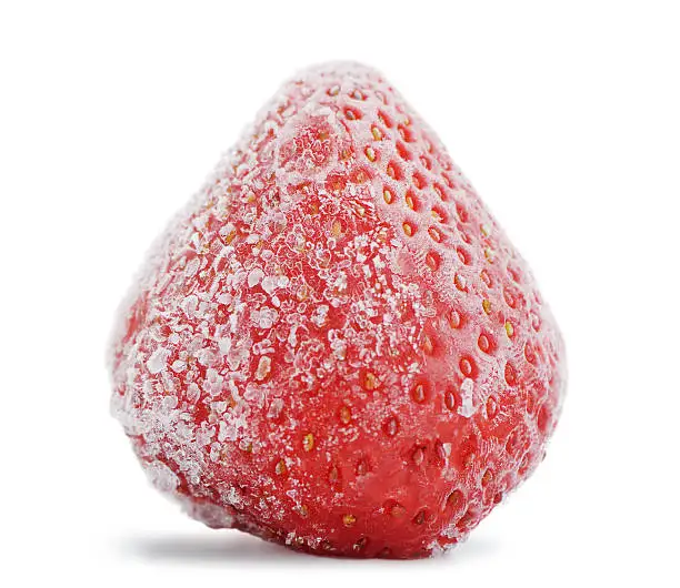 Dried /Fresh Frozen Strawberry,  Blue Berries ,  Berries in Bulk