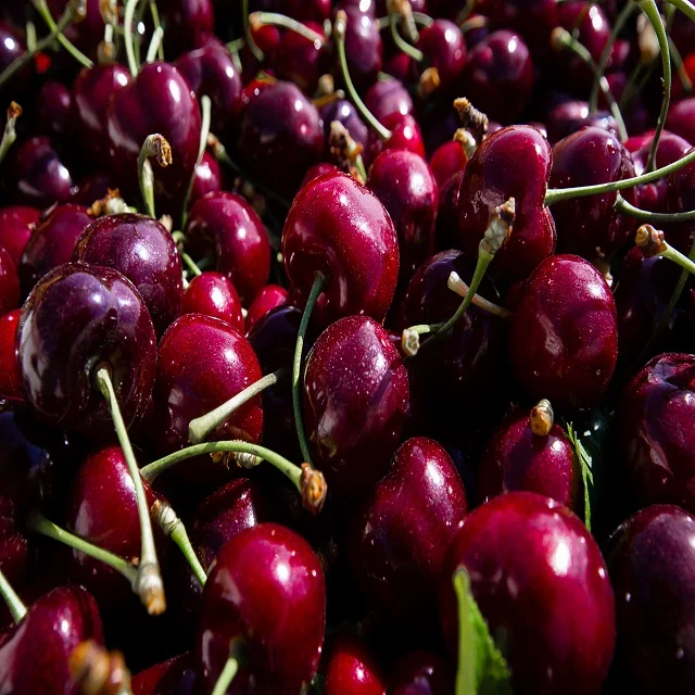 High Quality 2020 Fresh Cherries for export sweet cherry great quality cherry