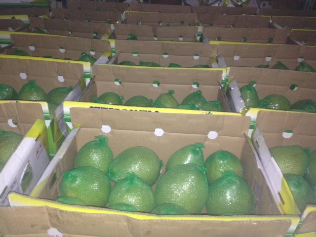 Fresh Green Pomelo In Vietnam 2022, pomelo/Grapefruit Healthy Nutritious Fresh Sweet dried grapefruit