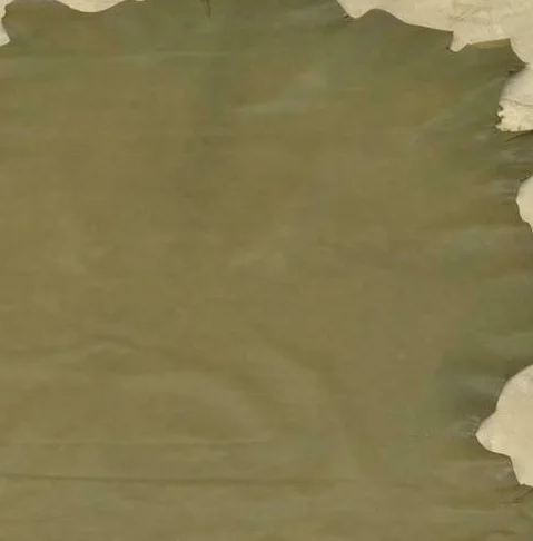 Real Sheep Leather Finish  Article Skins In Forest Green Color For Bags/Violets/Garments/And Accessories