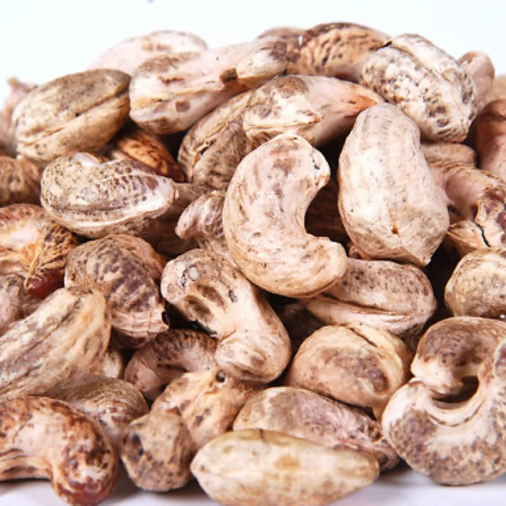 
BEST MANUFACTURE VIETNAM CASHEW KERNEL/CASHEW NUT WITHOUT SHELL - GRADE WS 