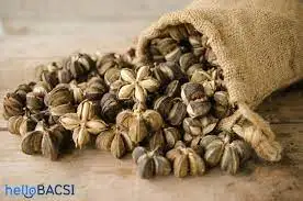 Top selling  Export Agricultural Products Nut & Kernel Snacks dried sacha sachi/ sacha inchi made in Vietnam 2021