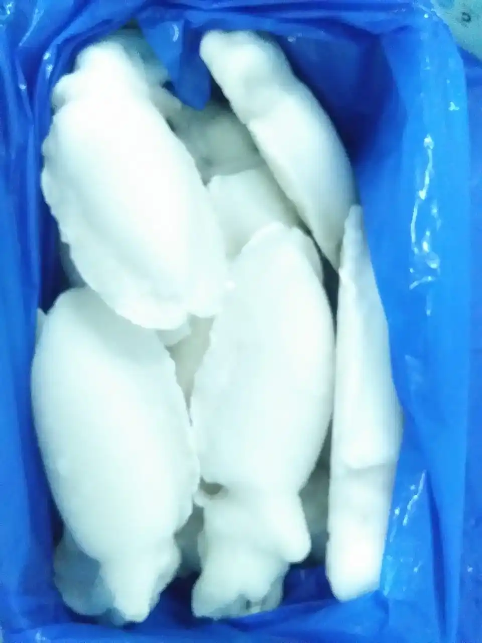  TOP QUALITY FROZEN CUTTLEFISH WHOLE CLEANED IQF FROM